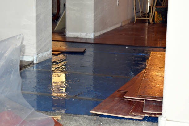 Professional Water Damage Restoration technician working in North Haven, ME